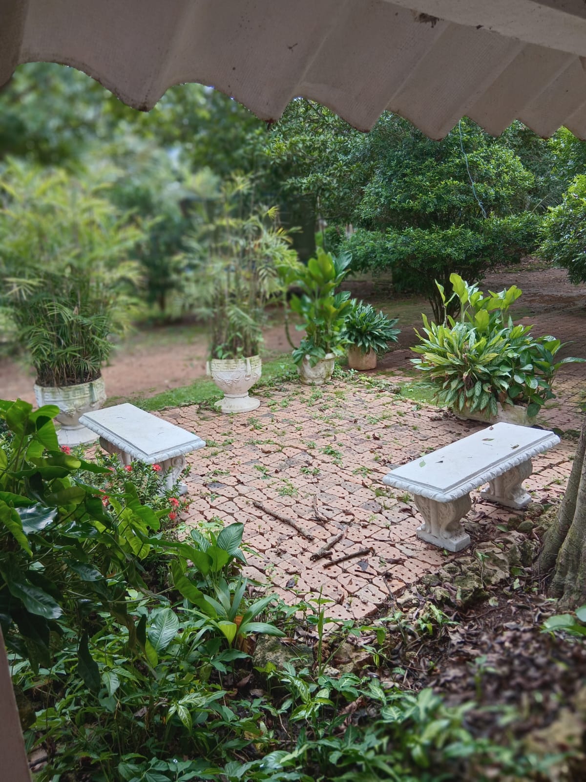 Finca Raiz